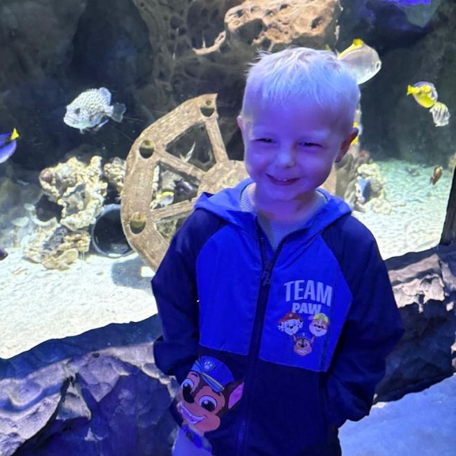 A child at the aquarium